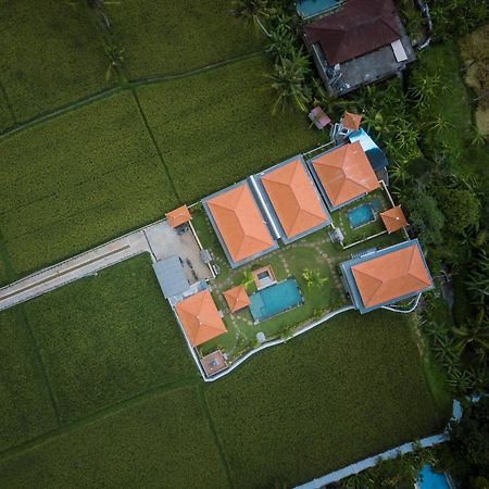 The Patra Ubud Bagian luar foto